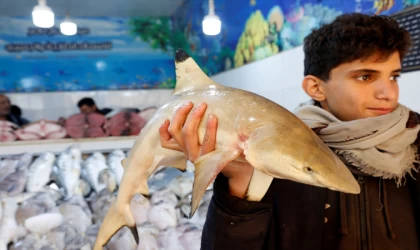 Yemen'de deniz ürünleri ihracatı durdu