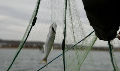 ABD, balıkçılık sübvansiyonlarının azaltılması anlaşmasını onayladı