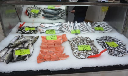 Düzce'de av yasağı ve olumsuz hava şartları balık fiyatlarını yükseltti