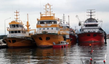Sinop'ta balıkçılar verimli geçen sezonun mutluluğunu yaşıyor
