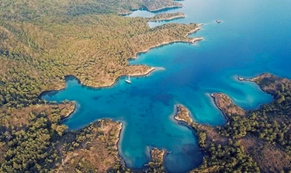 "Yeşil Nobel" ilk kez Türkiye'den bir isme verildi