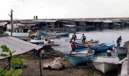 Dünya Bankası, iklim krizinin çözümünde şehirlerin rolünü inceledi