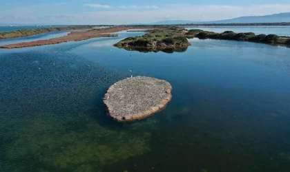 Göçmen kuşlar için midye kabuklarından adacık yaptılar
