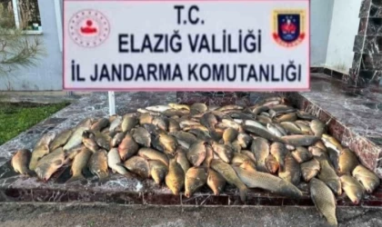 Kaçak olarak balık avladığı belirlenen üç kişiye 49 bin 683 lira ceza uygulandı