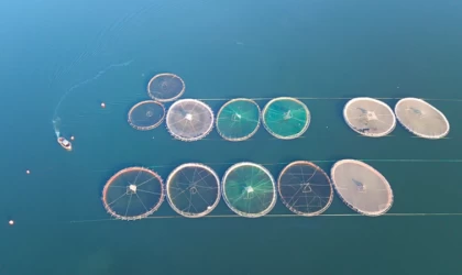 UNCTAD'dan okyanusları korumak ve yatırım yapmak için küresel "Mavi Anlaşma" çağrısı