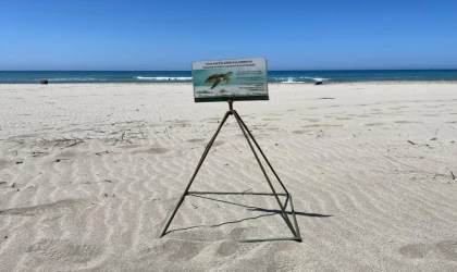 Caretta carettaların yuvalama alanı Patara kumsalına araç girişi önlensin çağrısı