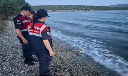 Muğla'da yaralı bulunan deniz kaplumbağası tedaviye alındı