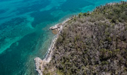 Yavaşlayan akıntılar ve yükselen deniz seviyeleri okyanus yaşamını olumsuz etkiliyor