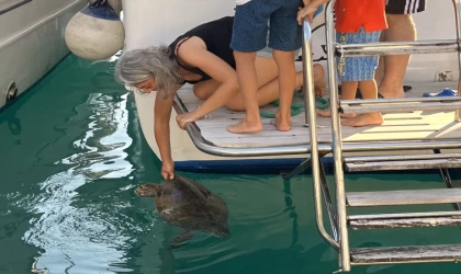 Antalya'da bitkin halde bulunan deniz kaplumbağası tedaviye alındı