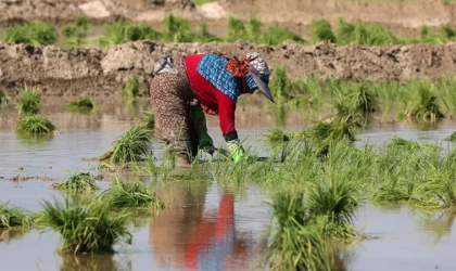 İran'ın Gülistan eyaletinde susuzluk sorunu artıyor