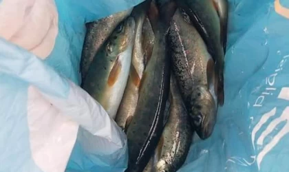 Kırklareli'nde dereye akım vererek balık avlayan iki kişi hakkında işlem başlatıldı