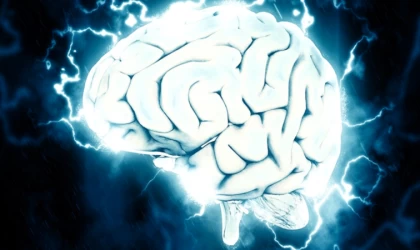 Belçikalı bilim insanları balık hafızasından yola çıkarak bunamaya karşı tedavi geliştiriyor