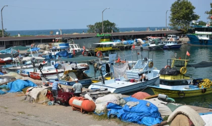 Akçakoca'da balıkçılar av sezonunun ilk gününde umduğunu bulamadı