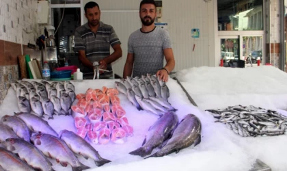 Sinop'ta balıkçılar sezonun ilk avından boş döndü
