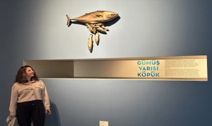 Mustafa Taviloğlu'nun Deniz Tutkusu Sergiye Dönüştü