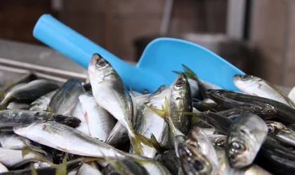 Tekirdağ'da ramazan ayında balığa talep arttı