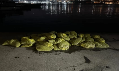 İstanbul'da kaçak avlanan 1,5 ton midye ele geçirildi
