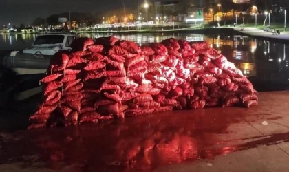 İstanbul'da yaklaşık 2 ton kaçak midye ele geçirildi