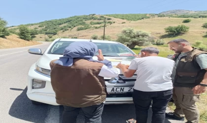 Tunceli'de kaçak balık avlayan 2 kişiye 10 bin 480 lira ceza