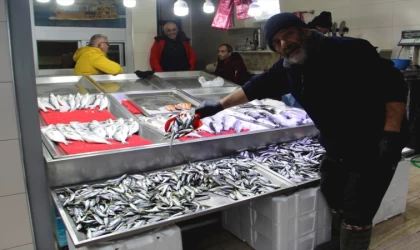 Balıkçılar yeni sezonda bol palamut az hamsi bekliyor