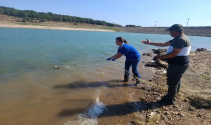 İki yıldır olta balıkçılığına kapalı Gölköy'de yasadışı balık ağları bulundu