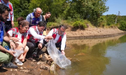 İstanbul İl Tarım ve Orman Müdürlüğü, 30 gölete sazan yavrusu bıraktı
