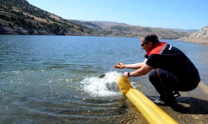 Kars'ta 1 milyon 680 bin sazan yavrusu su kaynaklarına bırakılmaya başlandı
