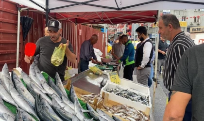 Zonguldak'ta sezonun başlamasıyla balık pazarı hareketlendi
