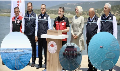 Su Ürünleri İhracatı Rekora Doymuyor