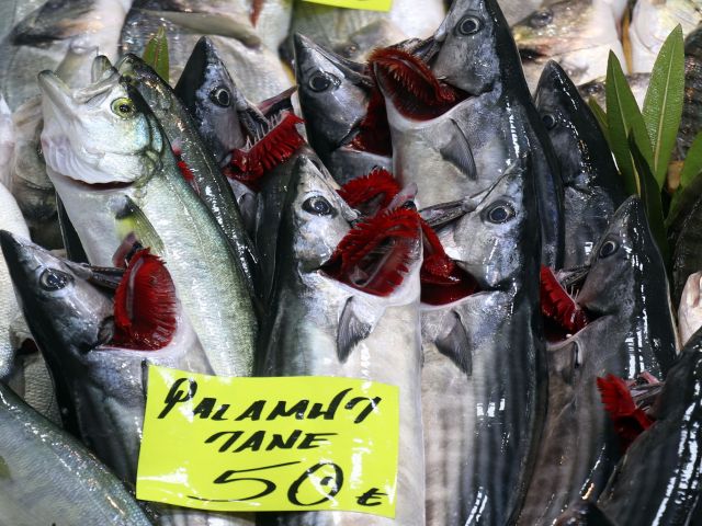 Çanakkale'de son palamutlar tanesi 50 liradan satılıyor