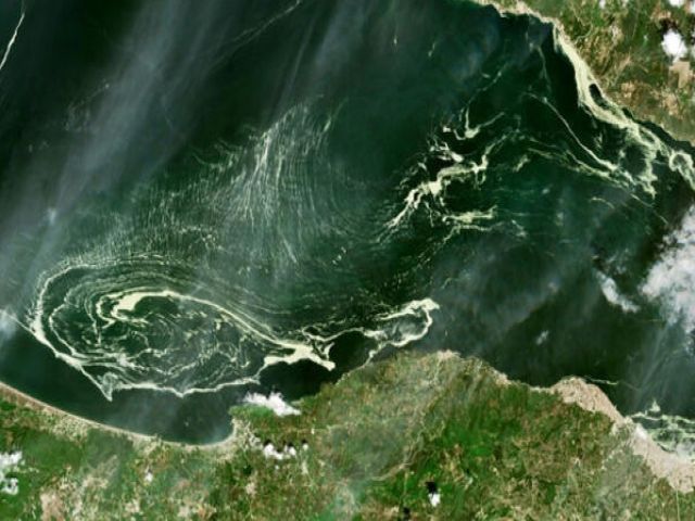 YAYILIYOR ! Marmara Denizi'nde büyük tehlike ! / PROF. DR. MERİÇ ALBAY İÜ Su Bilimleri Fak.Öğr.Üyesi