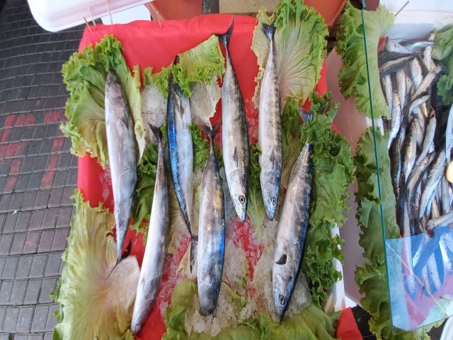 Sezonun İlk Palamutları Tezgahlardaki Yerini Aldı