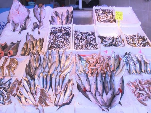 Karadeniz’de Hamsi Gözüktü Ama...