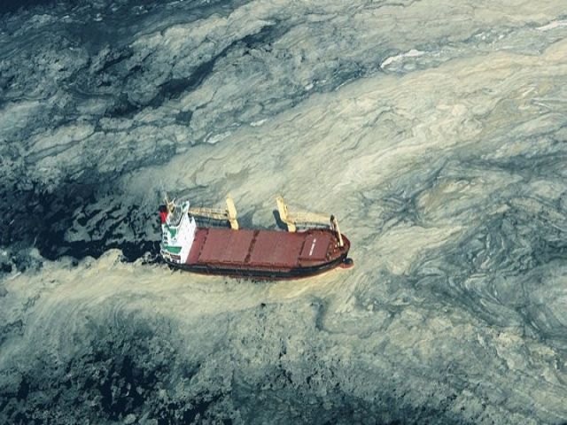 Müsilajda son durum! Koruma eylem planı etkisini gösterdi mi? | Prof.Dr. Mustafa SARI