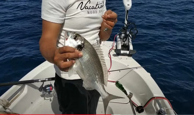 1.830gr cupra ve diğerleri BUGÜN DE BALIĞA DOYDUK BODRUM ÇUPRA AVI