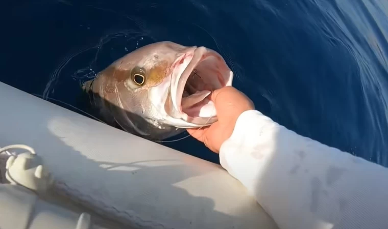 Balığın Vuruş Anı Aklımı Aldı !!!