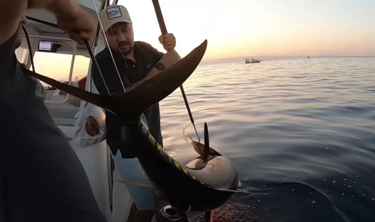 Dev Orkinoslarla Efsane Macera !! / Yüzlerce Kilo Balık Yakaladık