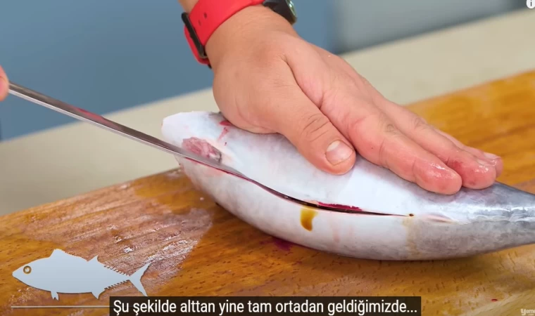 Hangi Balık Nasıl Açılır, Nasıl Temizlenir?