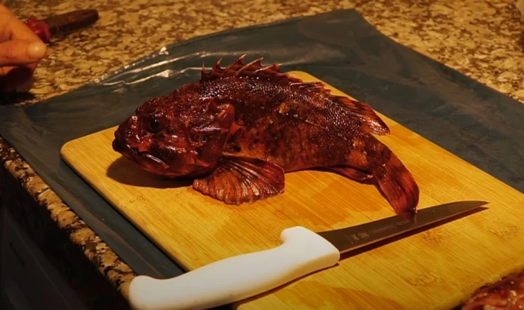 İskorpit Balığı Nasıl Temizlenir ? | How to Clean and prepare Scorpionfish ?