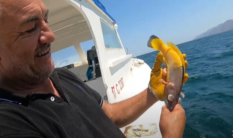 TORİK SÜRÜSÜNE DALDIK ! | PARAGAT İLE GELEN İLGİNÇ BALIK !