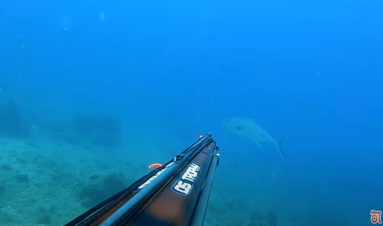 TÜRKİYE ŞAMPİYONU İLE DALIŞ YAPMAK