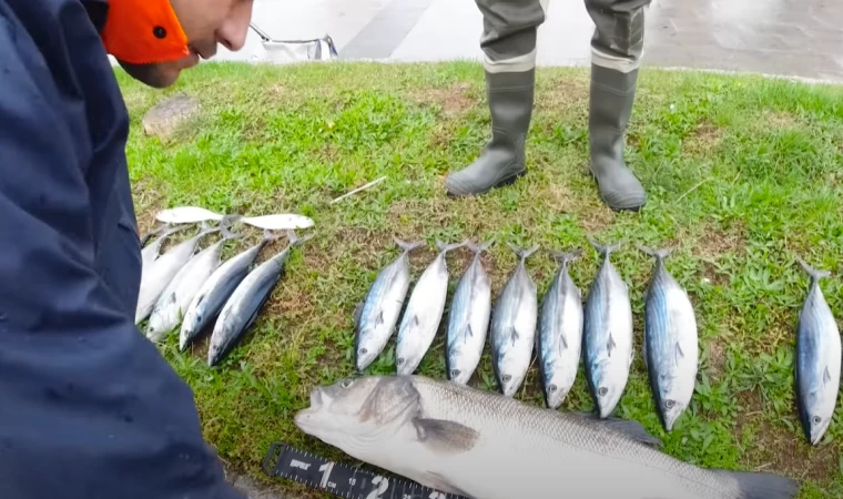 ÇANAKKALE İSKELE BALIKTAN YIKILDI ---- Kendi Levrek Rekorumu Kırdım !!!!