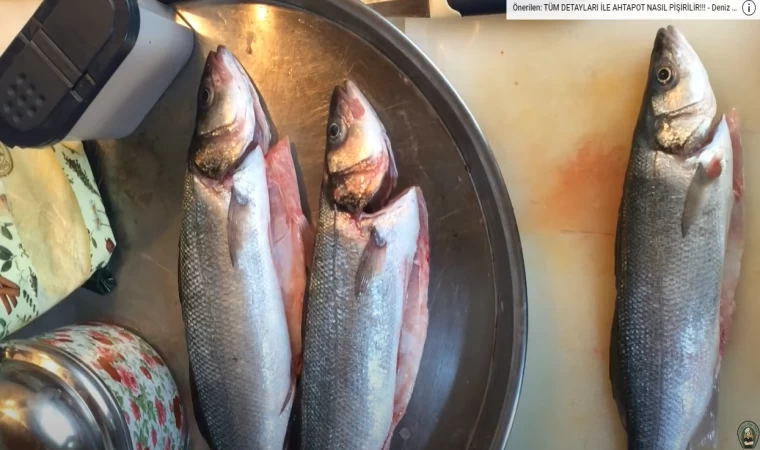 CANIN ÇEKTİ BİLİYORUM BU LEVREK NASIL PİŞİRİLİR | DENİZDEN YENİ GELDİ LEVREK NASIL TEMİZLENİR