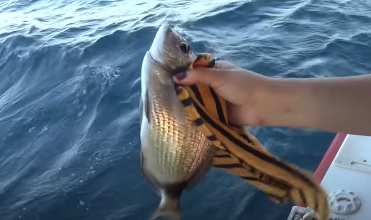 ÇEŞME'DE BALIK BASKINI!! 3 SAATTE KOVALAR DOLDU!! Kızlar Show Yaptı! 20 Haziran 2021