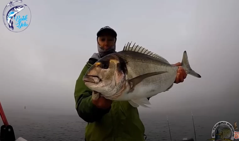 Çupra Ne Zaman Nerede ve Nasıl Avlanır?
