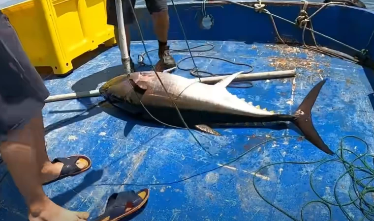 DÜNYANIN EN ZOR BALIK AVI BELEGESEL TADINDA