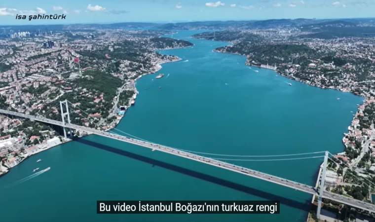 İstanbul Boğazı Lüferler, İstavritler, Turkuaz Boğaz'daki Canlılar! | Haziran 2022