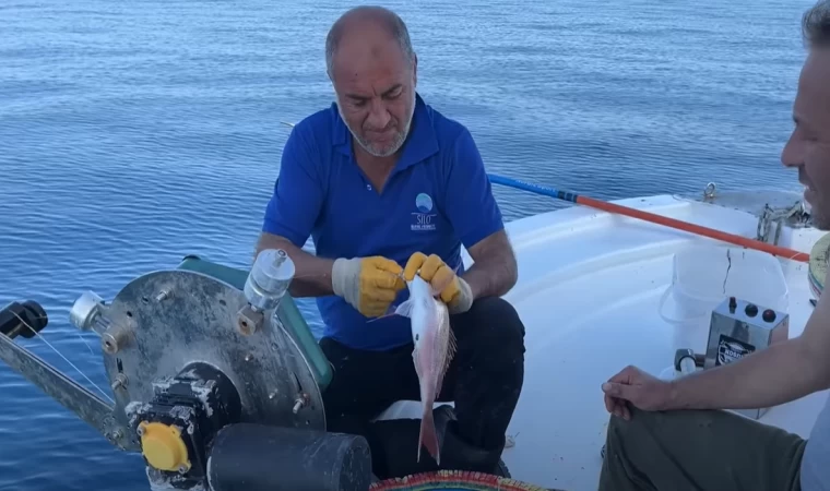 MEZGİT İSTİLASI !!! | MEZGİT AKININDAN NASİBİMİZİ ALDIK !!!