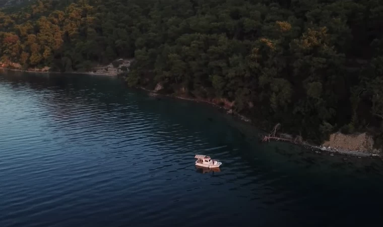 TAKOZ ÇUPRALAR SIRALI GELDİ/EKMEK PARAGADİSİ BEREKETLİ OLDU