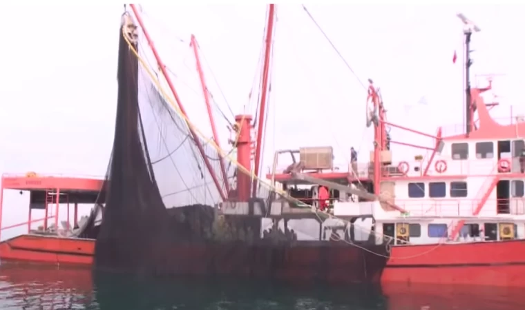 Karadenizli Balıkçılar